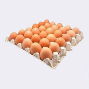 Tablettes d'œufs
